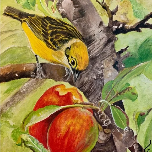 Handmade Original Bird EatingMango